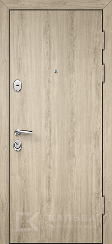 Фото «Дверь Ламинат №1»