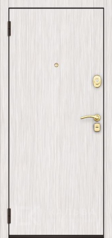 Фото №2 «Дверь Ламинат №37»